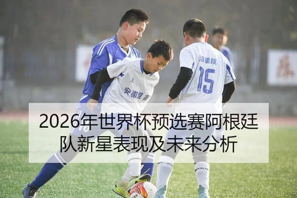 2026年世界杯预选赛阿根廷队新星表现及未来分析