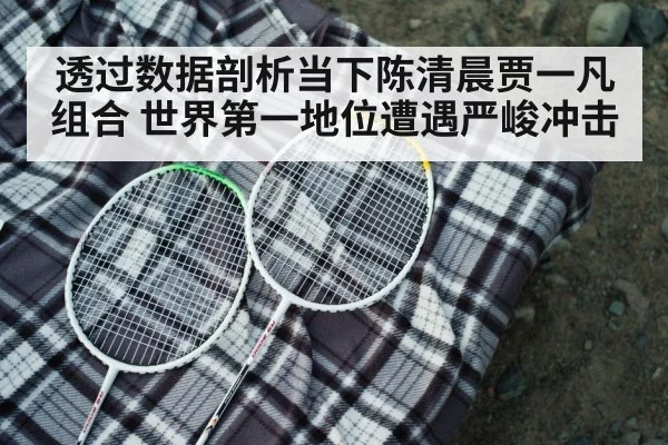 badminton racket closeup