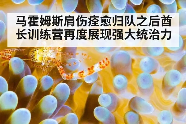 马霍姆斯肩伤痊愈归队之后酋长训练营再度展现强大统治力